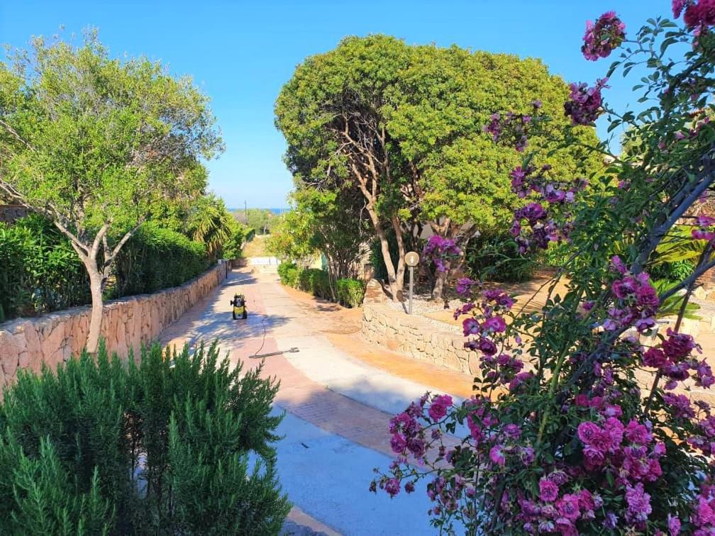 Villa Saba Olbia Kültér fotó