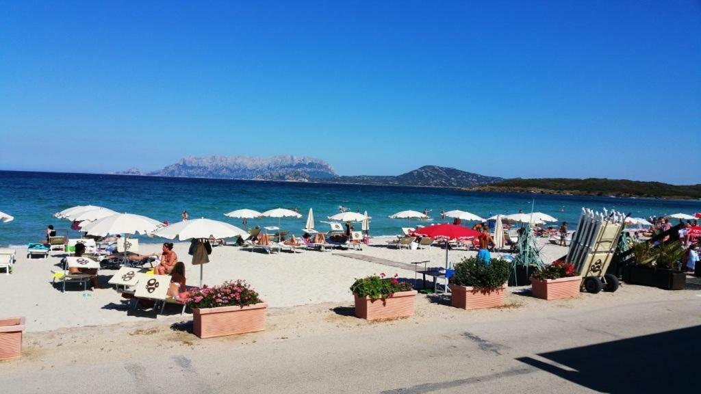 Villa Saba Olbia Kültér fotó