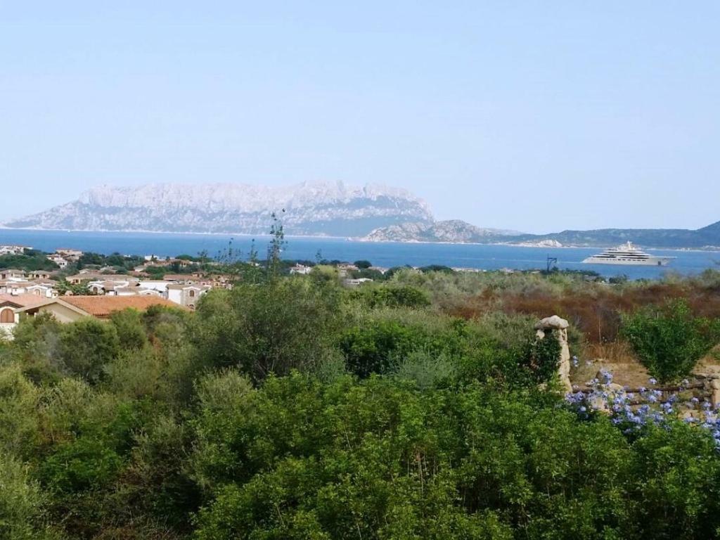 Villa Saba Olbia Kültér fotó
