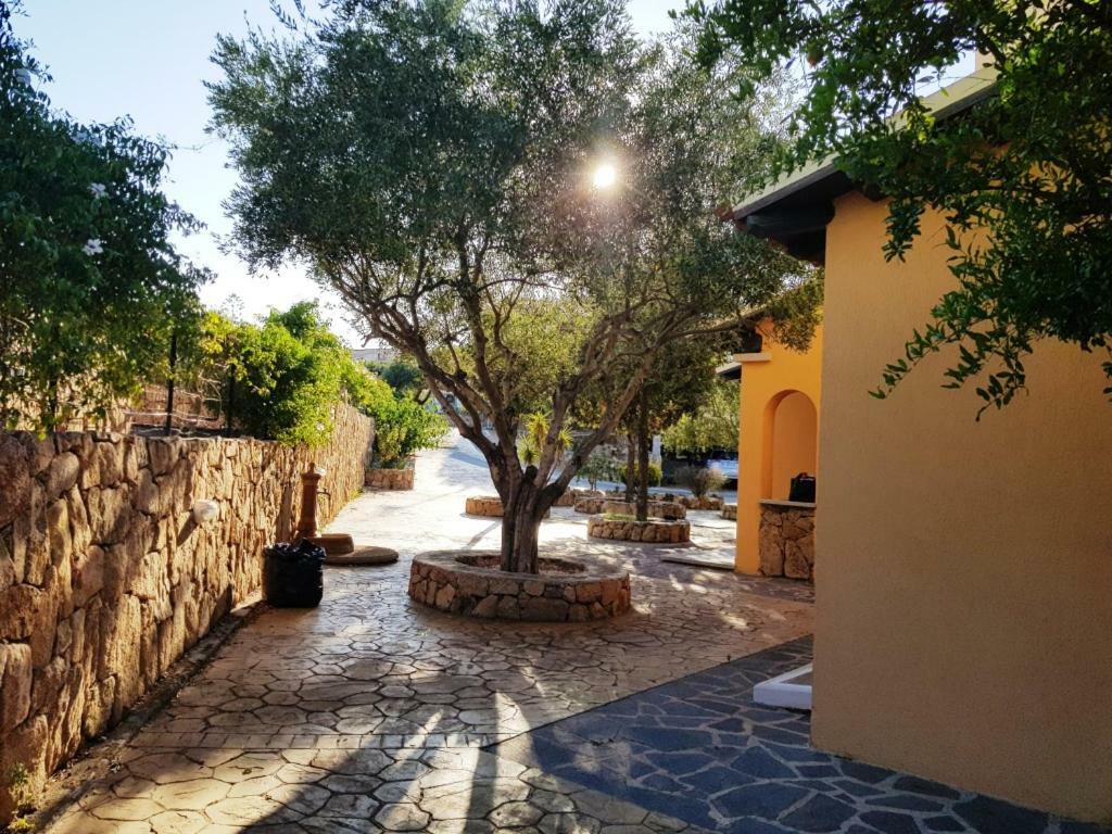 Villa Saba Olbia Kültér fotó