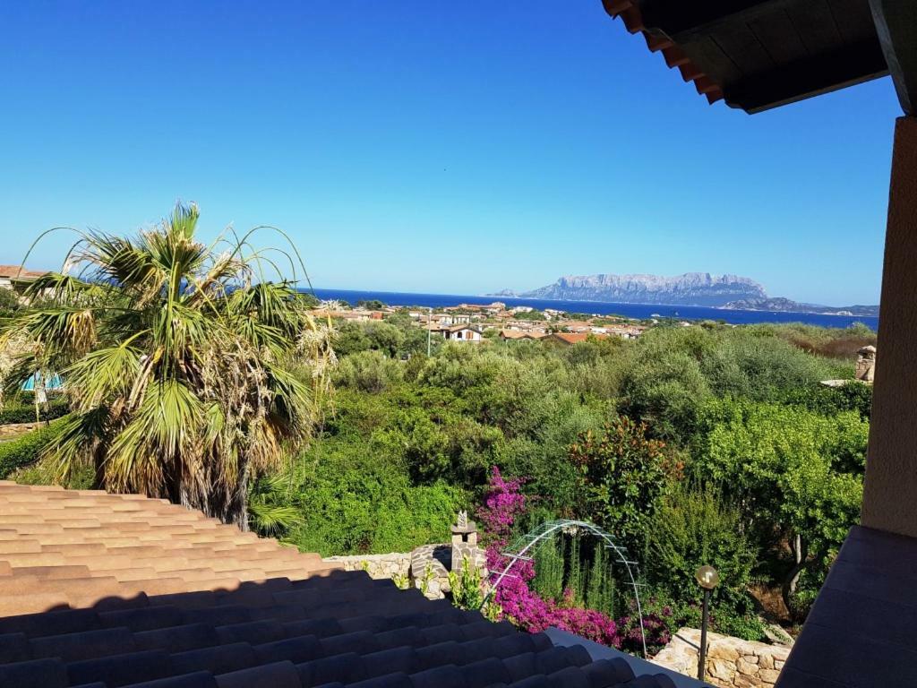 Villa Saba Olbia Kültér fotó