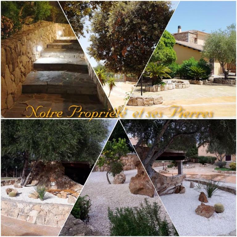 Villa Saba Olbia Kültér fotó